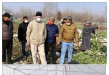 Director Agriculture visits Vegetable Clusters of Maloora, Srinagar