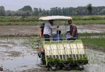 Agriculture: Driving force of J&Ks economy