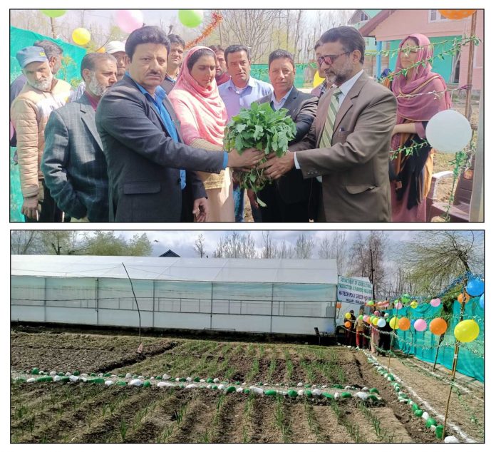 Agriculture deptt distributes vegetable seedling at Kulgam-19