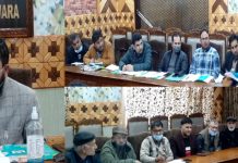 DC Kupwara chairs DLTFC for Mission Youth