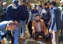 DC Kupwara kick-starts plantation drive under convergence