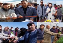 DC Kupwara kick starts sale of vegetable seedlings