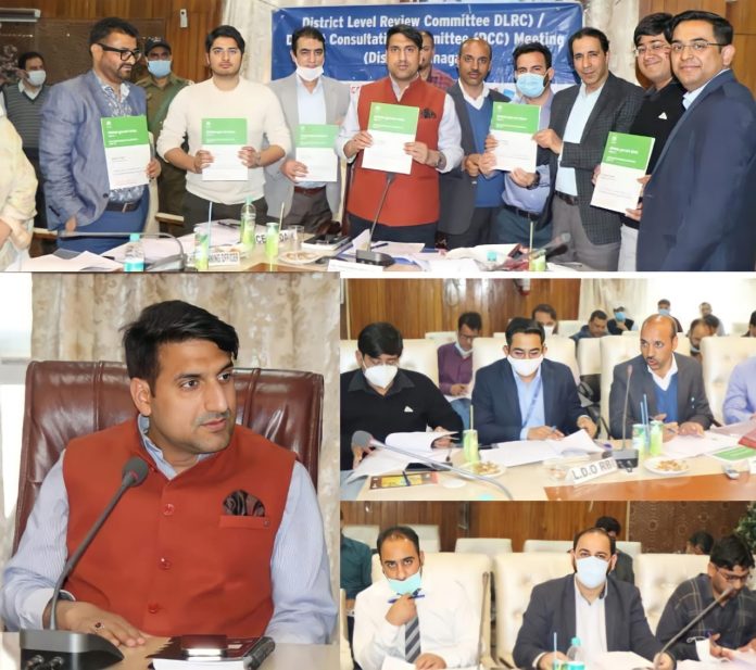 DC Srinagar chairs DLRC meeting 28-