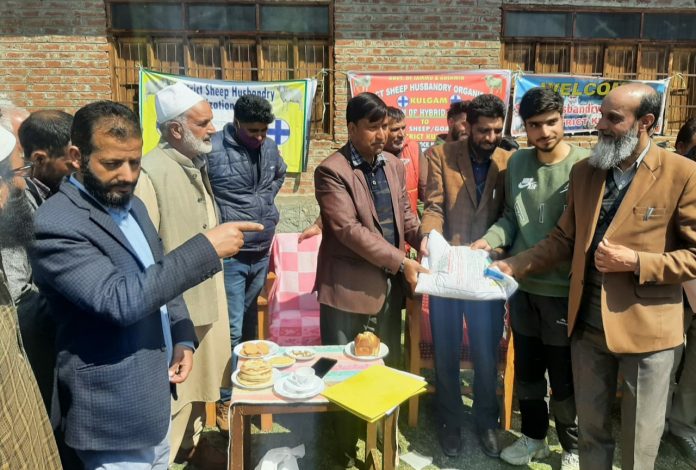DDC Chairperson Kulgam-SHD Kulgam distributes fodder seed kits among Sheep breeders-16