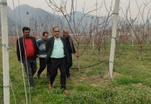 DG Horticulture visits State Houses in Srinagar; initiates plantation drive