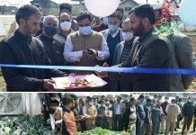 DC Anantnag inaugurates sale of Vegetable Seedlings at Kitchen Garden, Bijbehara