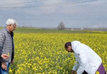 Director Agriculture Kashmir visited District Pulwama