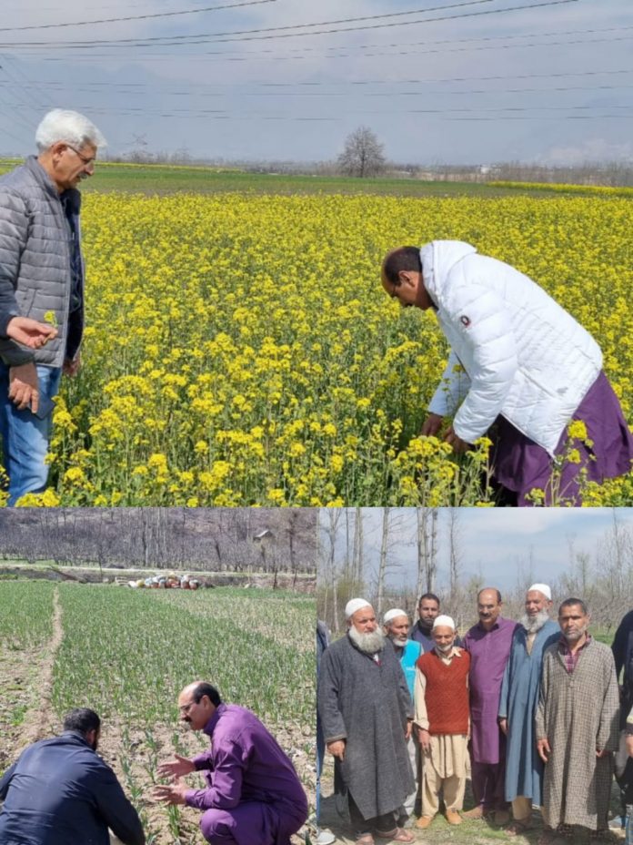 Director Agriculture Kashmir visited District Pulwama 12-