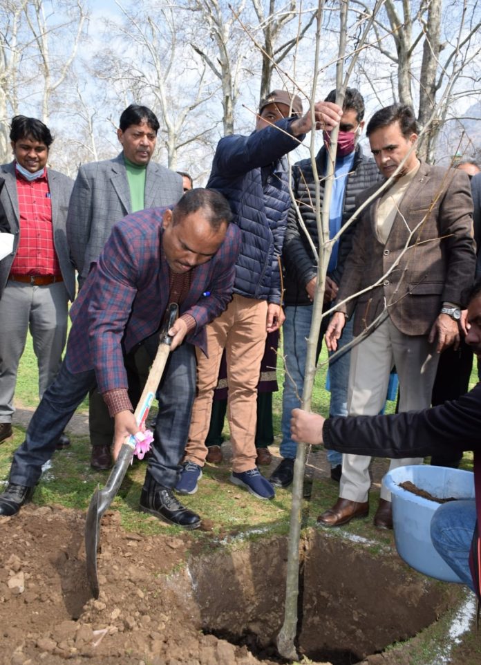 Div Com Kashmir inaugurates Chinar Plantation Drive at Nishat Garden-15