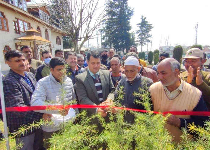 Forest Department starts Public distribution and sale of Conifer plants