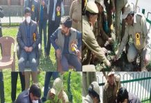 International Forest Day celebrated at Khanabal Anantnag