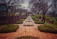 Promoting tourism to give boost to Kashmir’s economy, provide employment to youth: Dir Tourism