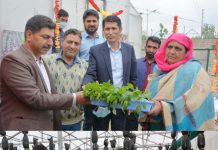 Sale of hi-tech Vegetable seedlings kick-started at Mini Secretariat, Shopian