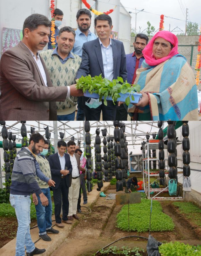 Sale Of Hi-Tech Vegetable Seedlings Kick-starts At Mini Secretariate Shopian