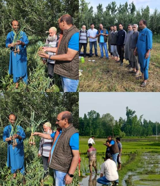 Director Agriculture Kashmir visits different areas of Pulwama District 24-