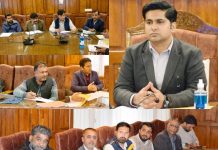 DC Bandipora reviews progress of developmental works of Sub Division  Gurez
