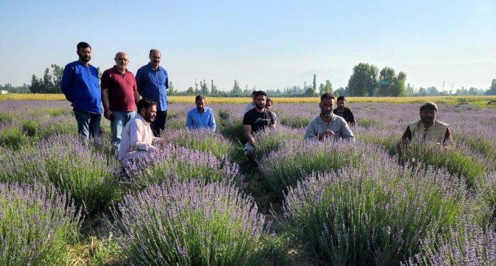 Director Agriculture Kashmir 3-