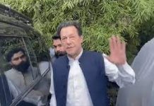 Interim bail granted to Imran in 7 cases