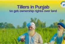 Ownership rights for over 11,200 tillers in Punjab