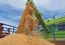 FCI sells 5 LMT wheat during 5th auction