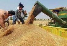 Centre relaxes norms for purchase of wheat in Punjab