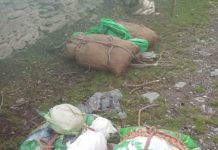 Forest officials seize Bhoot Keshi Herb on J&K- Himachal Border in Bhalesh area