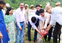 DC Rajouri inaugurates Plantation Drive organized by Forest Department