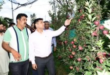 DC Rajouri inspects Ultra High Density Apple Orchard in Behrote; interacts with farmers, staff