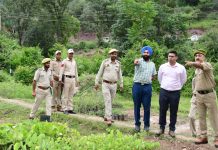 Deputy Commissioner Rajouri inspects Forest Department Nursery at Tandwal