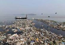 46% of rivers in India polluted