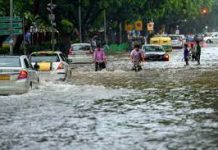Rain predicted as Yamuna water flows back towards Delhi; red alert in Faridabad