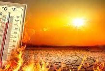 Intense heat wave this year claimed 264 lives in India