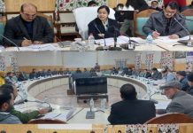 DC Kupwara chairs DLRC meet