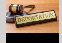 Punjab man guilty of fatal car crash in Canada deported to India