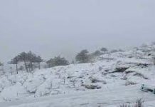 Yellow alert issued in Himachal for heavy snowfall, rain from tomorrow