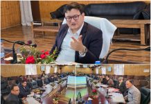 DC Baramulla reviews financial progress of sponsored schemes, performance of banking sector