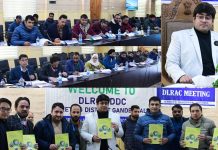 DDC Ganderbal reviews performance of banks at DLRC, DDC meeting