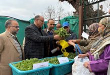 Director Agri Kashmir kick starts distribution of vegetable seedlings at Kitchen Garden Srinagar