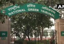 NGT sets May 31 deadline for Delhi Govt to desilt 24 drains
