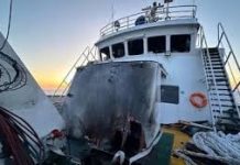 Israeli drones bomb vessel carrying Gaza aid off Malta