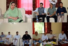 Sakeena Itoo takes stock of developmental issues of DH Pora Constituency