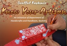 Artisan Shows create buzz, capture attention of local populace, tourists