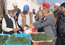 Director Agriculture Kashmir kick-starts onion seedling sale at Kitchen Garden Srinagar