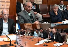 Dy. CM reviews performance, functioning of H&H Deptt. post merger