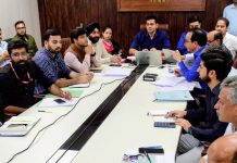 DC Jammu reviews progress of RDD works under District Capex