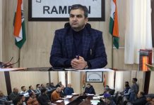 DC Ramban reviews implementation of power sector schemes