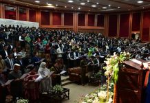 Lieutenant Governor Attends Constitution Day Celebrations