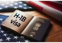Trump administration launches 175 investigations into H-1B visa abuse