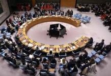 UN Security Council adopts US resolution on Trump’s Gaza peace plan