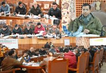 DC Shopian chairs DLRC/DCC meeting